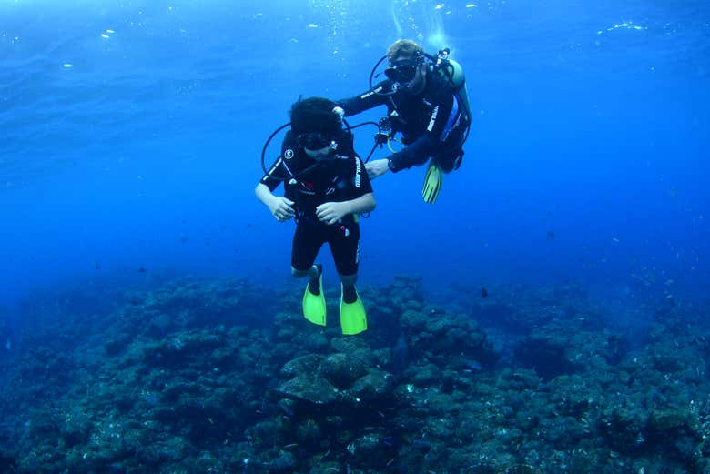 Beginners scuba diving lesson in Fernando de Noronha