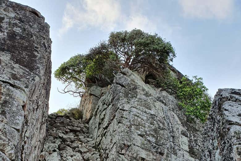 Morro do Piquinho