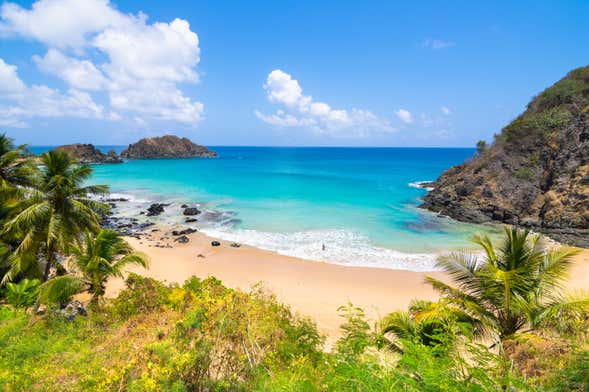 Ingressos - Parque Nacional Marinho de Fernando de Noronha