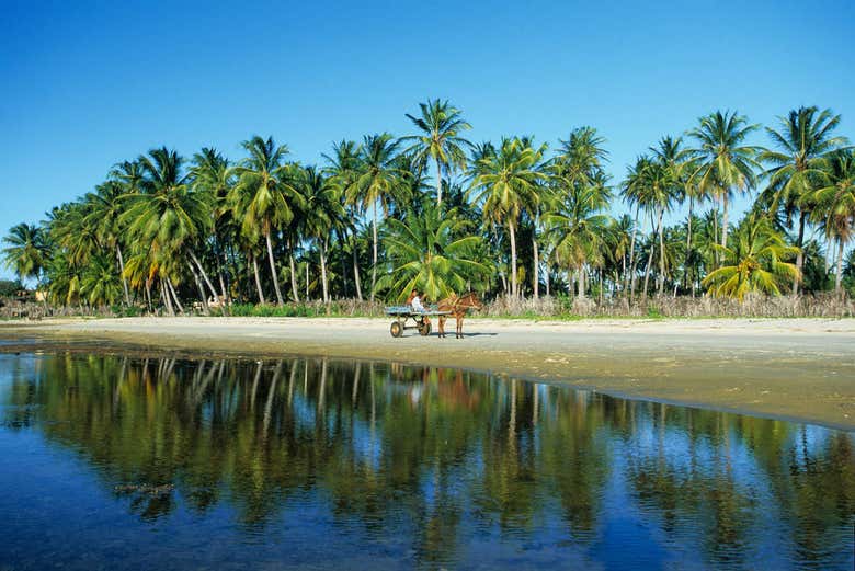 Praia de Mundaú