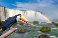 Tour de aventura no Macuco Safari