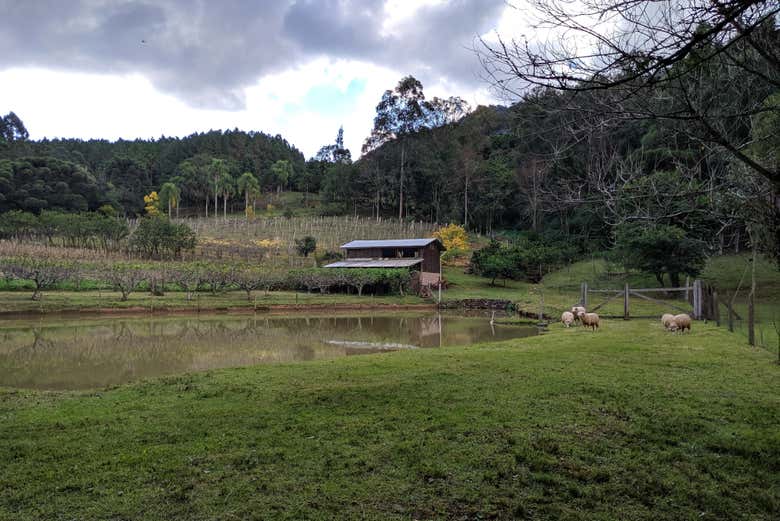 Tour the Quilombo Valley