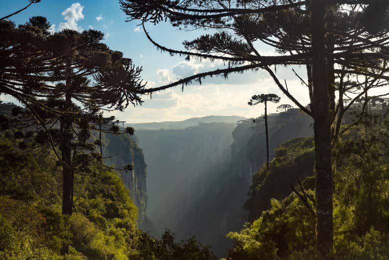 Visit the Aparados da Serra National park