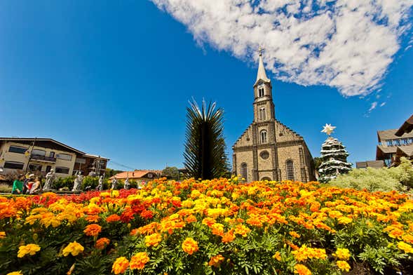 Tour panorámico de la cerveza artesanal