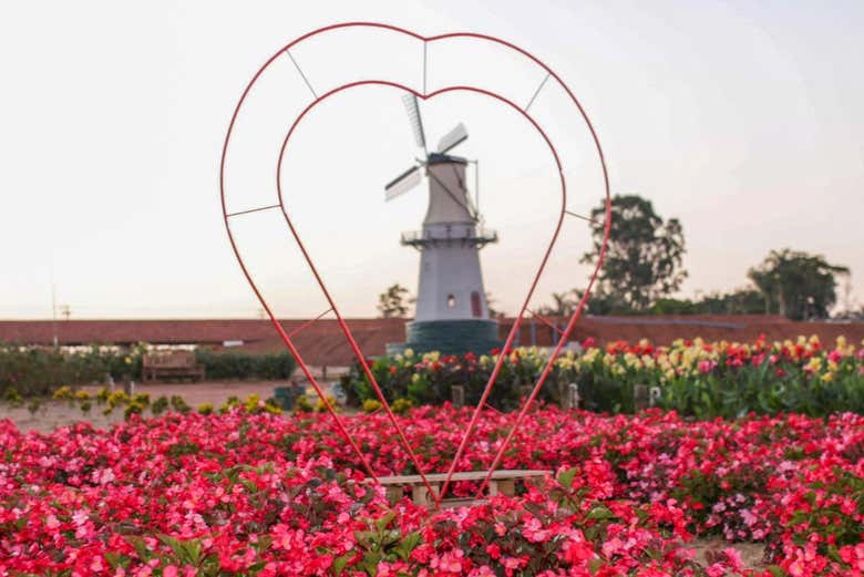 Você visitará lugares muito bonitos