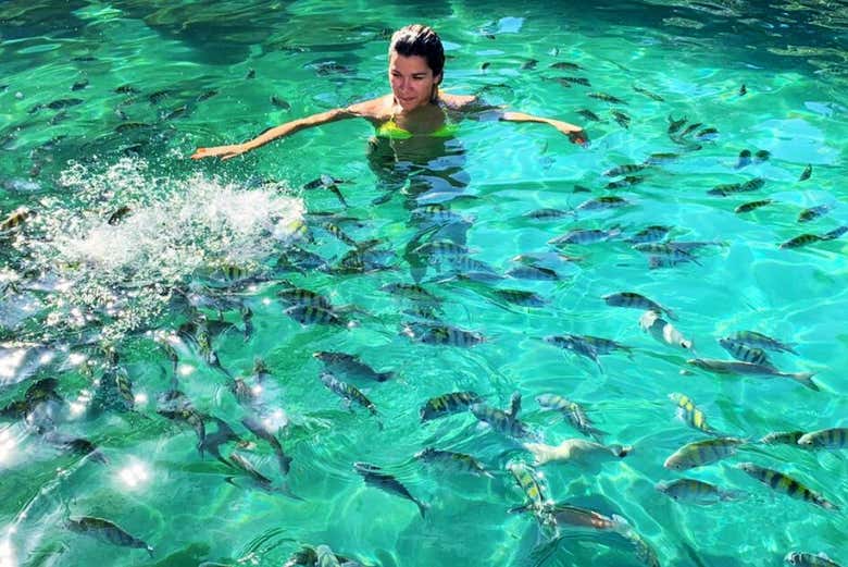 Nadando con peces en el norte de Ilha Grande