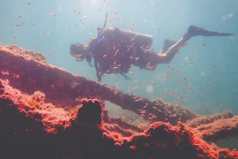 Shipwreck diving