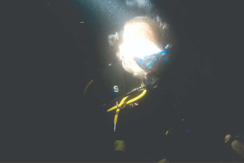 Night dive