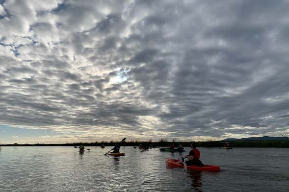 Tour en kayak por el río Tramandaí