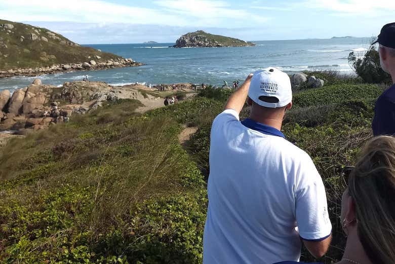 Vista da trilha pelo Farol de Imbituba