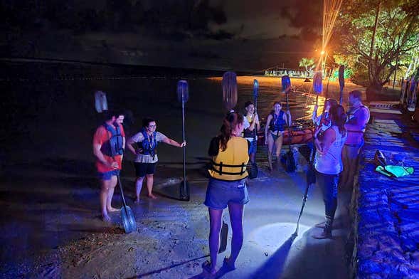 Balade en kayak à la découverte du plancton bioluminescent