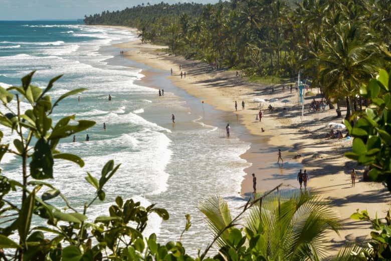 La densa vegetación de las playas de Itacaré