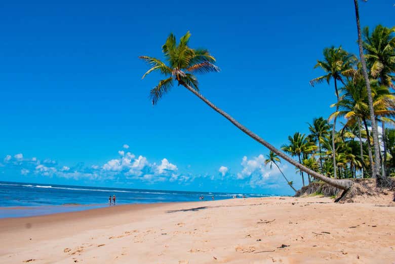 Visitaremos playas de ensueño