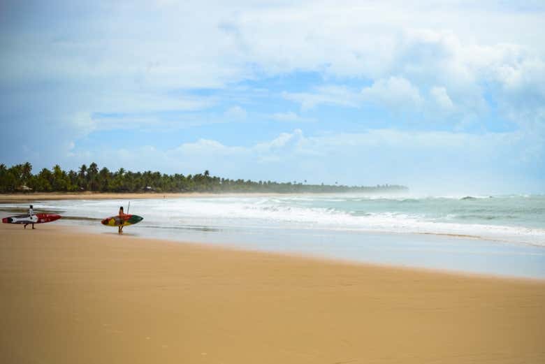 Los surfistas en la playa Engenhoca