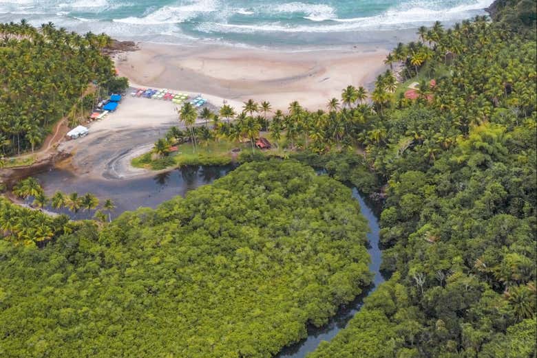 Panorámica de los manglares y la playa