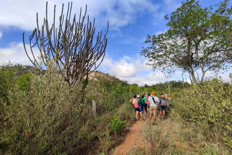 Atravessaremos a caatinga durante a trilha