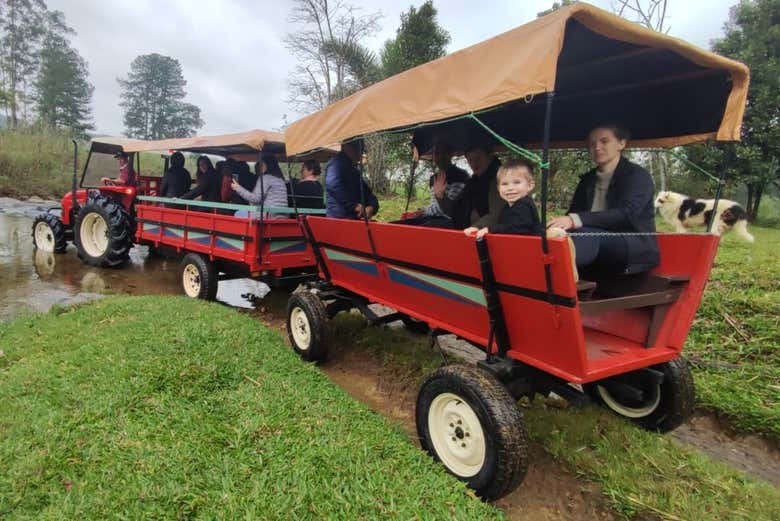 Enjoying the tractor ride