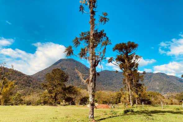 Tour pelos caminhos de Dona Francisca e cachoeira do Sítio Canela Preta