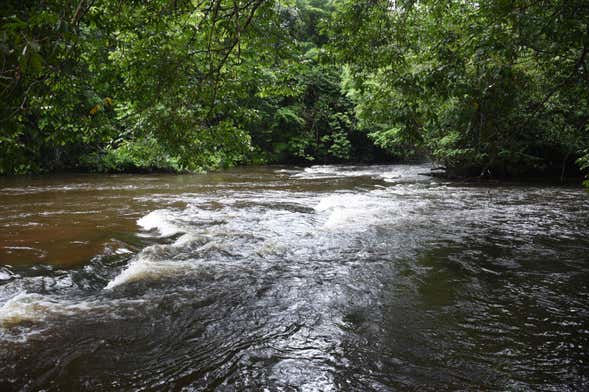 Tumucumaque Mountains National Park 4-day Tour