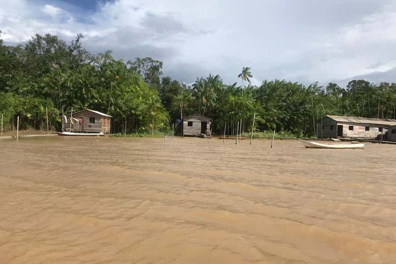 Casas ribeirinhas na margem do rio Amazonas