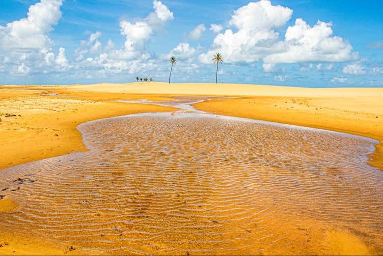 Paisagens idílicas da foz do rio São Francisco