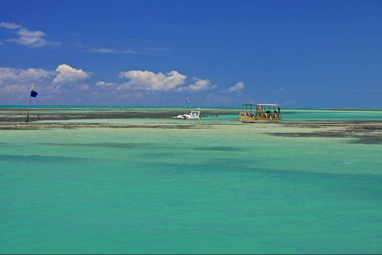 Costa de Alagoas