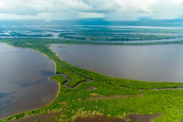 Tour pela floresta amazônica e ilhas Anavilhanas