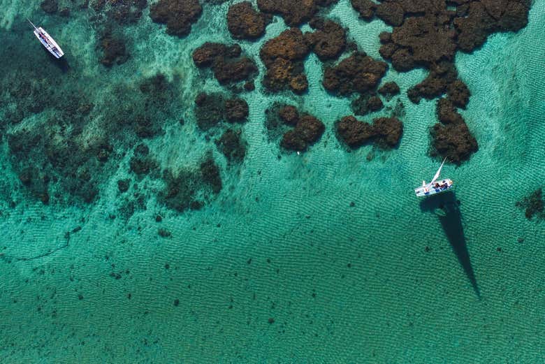 Aerial view of Porto de Galhinas