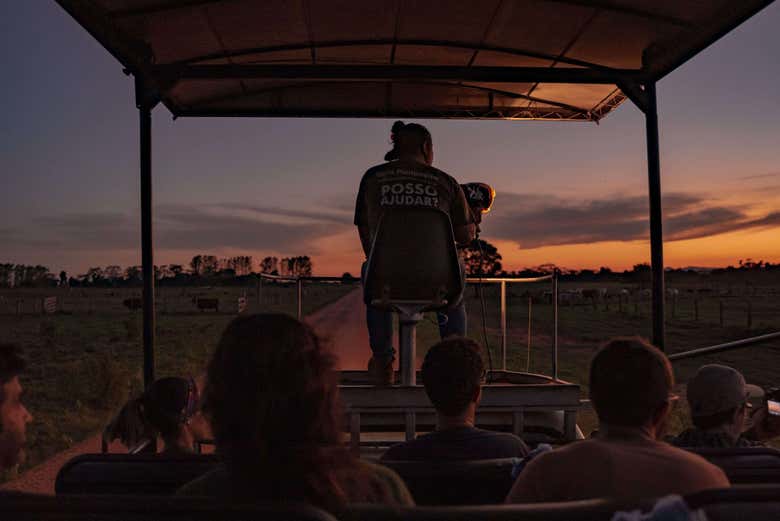 Grupo de pessoas no veículo avistando animais à noite