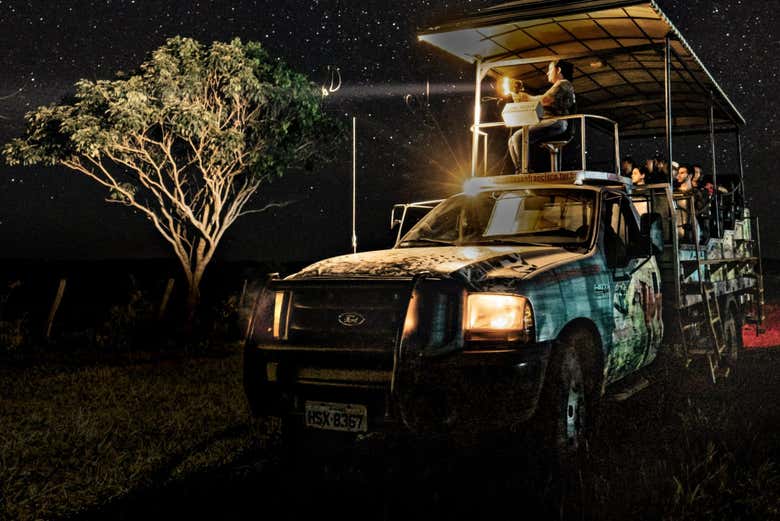 Discover Pantanal in a 4x4