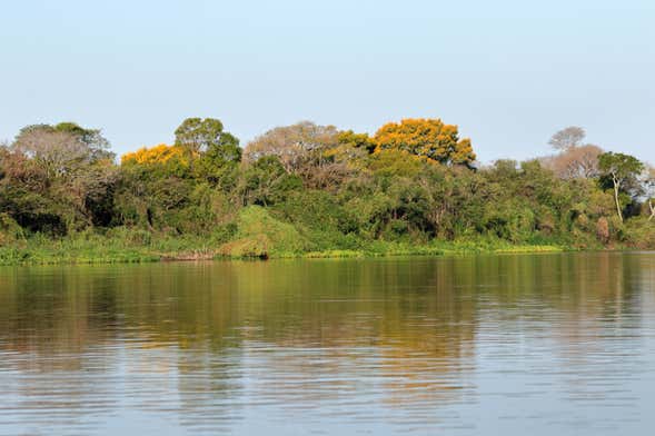 Miranda Boat Trip