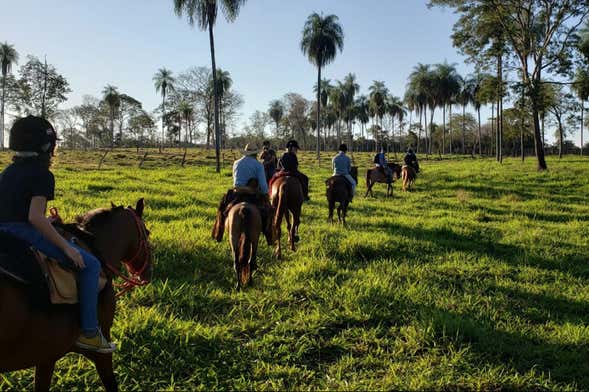 Paseo a caballo por la orilla del río Agachi