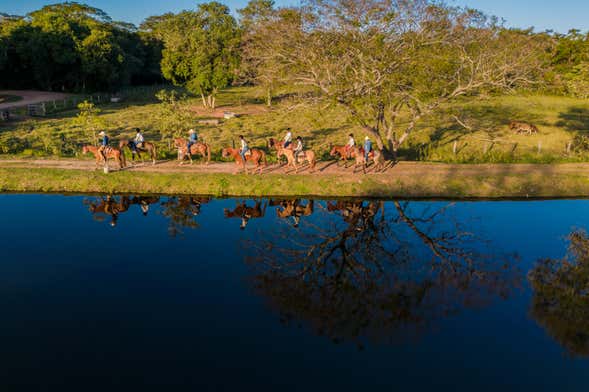 Tour de 3 días por el Pantanal