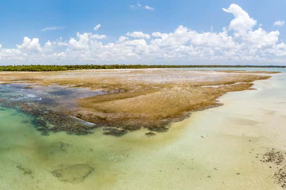 Escursione alla spiaggia di Garapuá