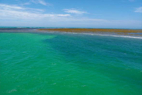 Escursione al Parco marino Recife de Fora