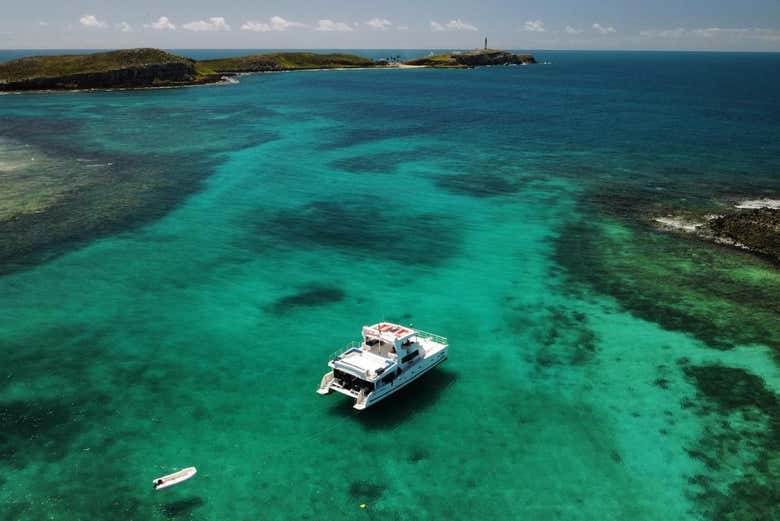 Navegando nas águas de Abrolhos