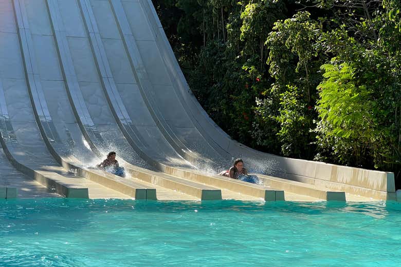 Enjoy an exciting day at the Arraial d'Ajuda Eco Park!