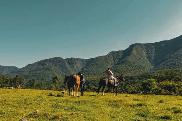 Percurso a cavalo em La Mata 1 hora preço desde 15€ 