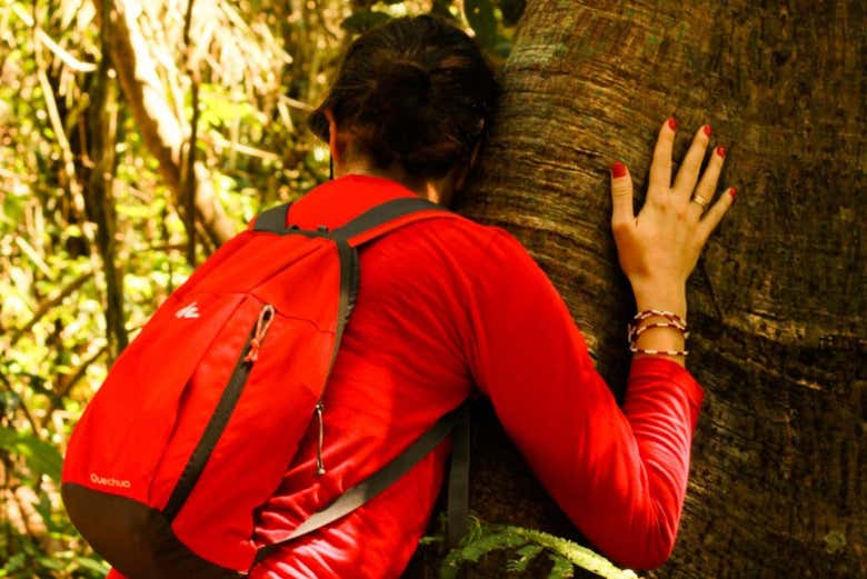 Are you a tree hugger?