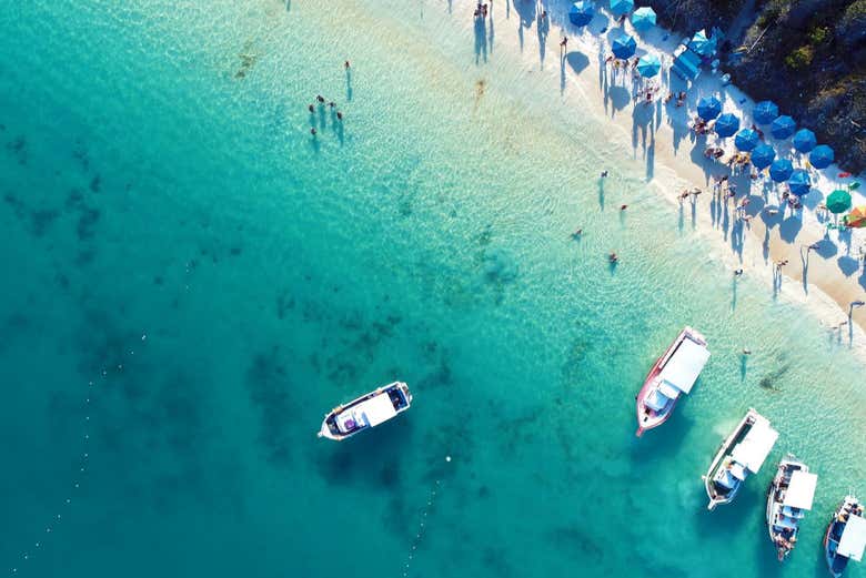 Go to the beach and take a dip!