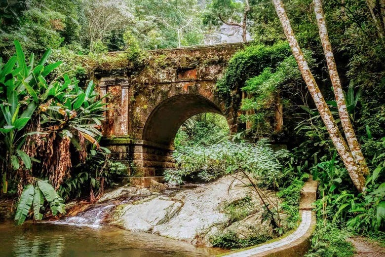 Scenery in the Tijuca National Park