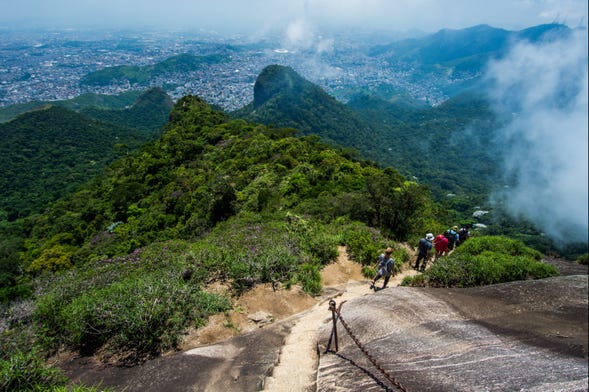 Macaco Sagui, Pão de Açúcar, Rio de Janeiro - Brazil