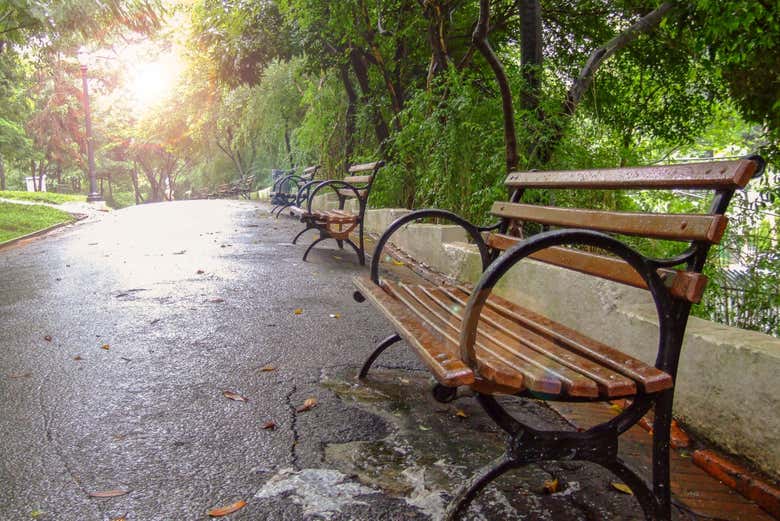 Um banco no Parque Buenos Aires