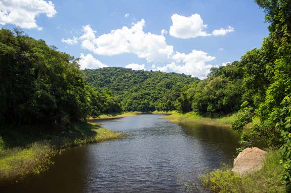 Trekking alla Serra da Cantareira