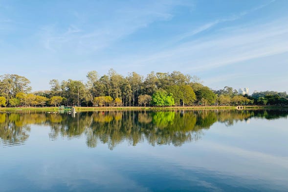 Tour pelo Parque Ibirapuera