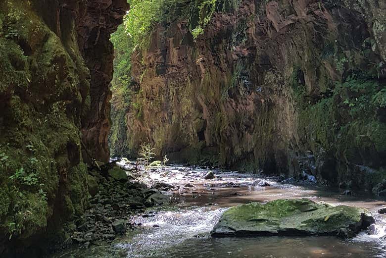 Path to the Gavião Faiado waterfall