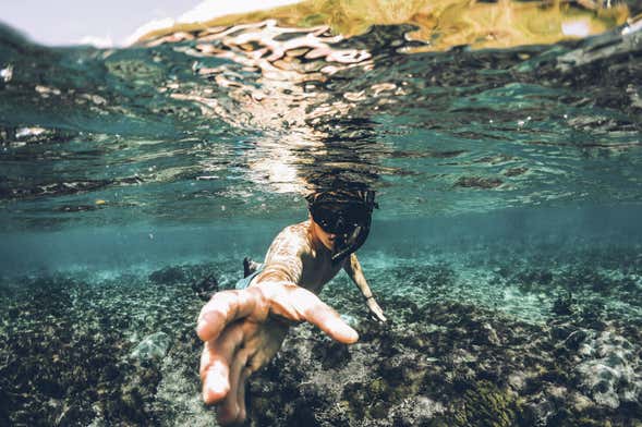 Ubatuba Beginner Scuba Diving