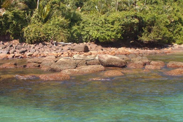 Southern beaches of Ubatuba