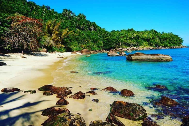 Passeio De Escuna Pela Ilha Das Couves E Ilha Do Prumirim Ubatuba Civitatis Com