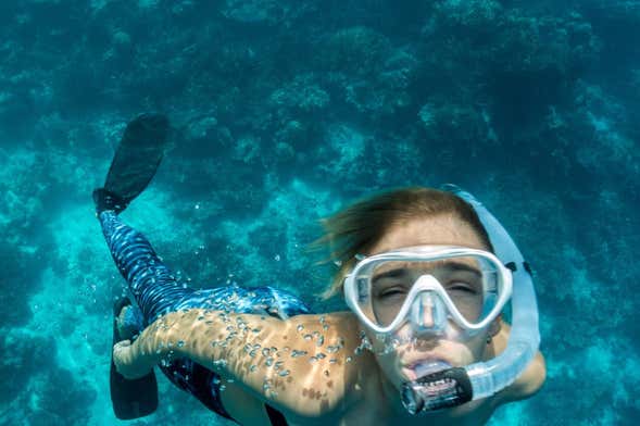 Snorkeling in Ubatuba